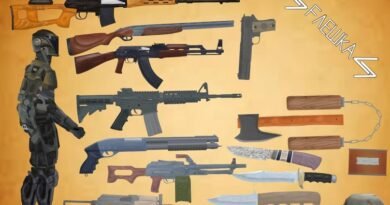 Guns and weapons (image)