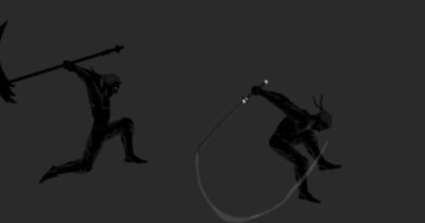 Shadow fight