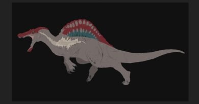 Spinosaurus (The Tm world)