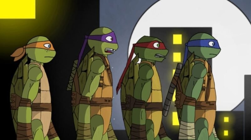 Ninja turtle (The Tm World)