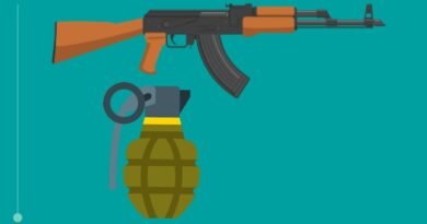 Ak-47 and the grenade (gun,bomb) download for dc2