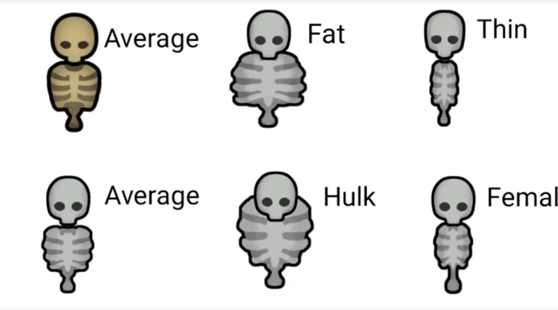Human skeletons download Drawing cartoons 2 by the tm world