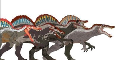 Spinosaurus image 4 pack Dc2 download