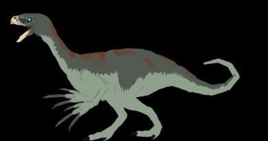 Thezinosaurus Dc2 The Tm World (Image 2) Dinosaur