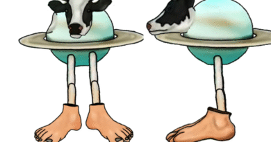 Image of la vaca Saturno Saturnita