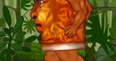 image of Brr es teh Patipum dc2