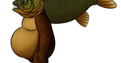 tripi tropa Dc2 image