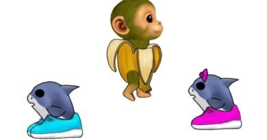 image of baby chimpanzini banini Dc2