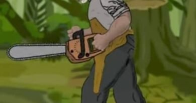 image of leather face