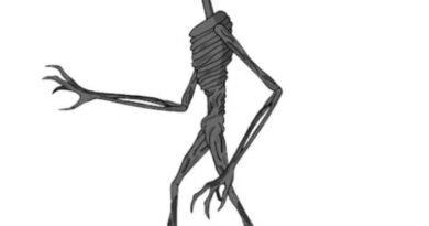 trafic head image