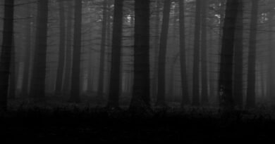 Background (Horror) Dc2 Download