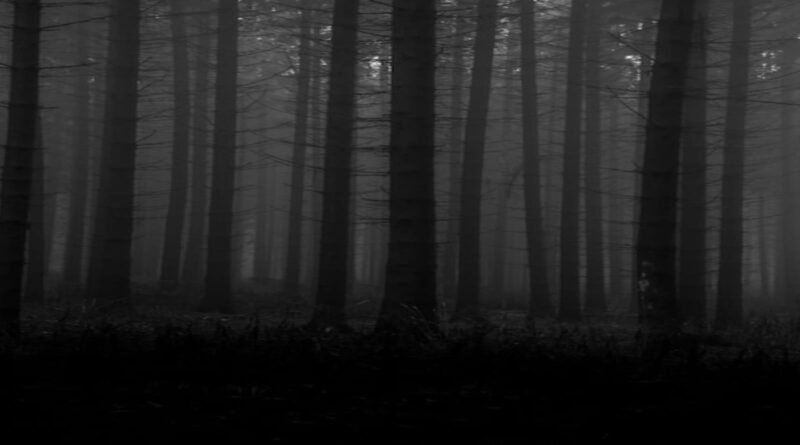 Background (Horror) Dc2 Download